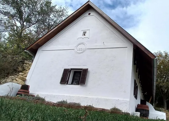 Nyaraló Press House At The Walnut Tree - Mypresshouse Pécsely